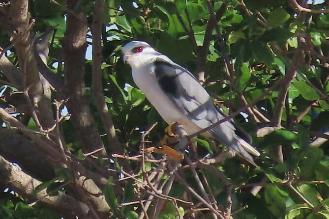 Beyond The Oudong Temple and Birdwatching in Phnom Penh - Following the Tonle Sap riverside route