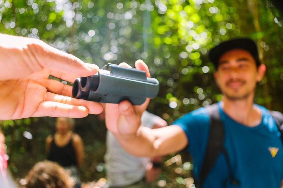 Big Island: Native Bird Watching & Hiking Tour - Why Hakalau Forest is worth the long ride