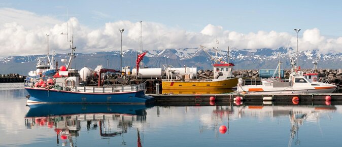 Big Whales & Puffins RIB boat tour from Húsavík - Why the RIB makes such a difference in Skjálfandi Bay