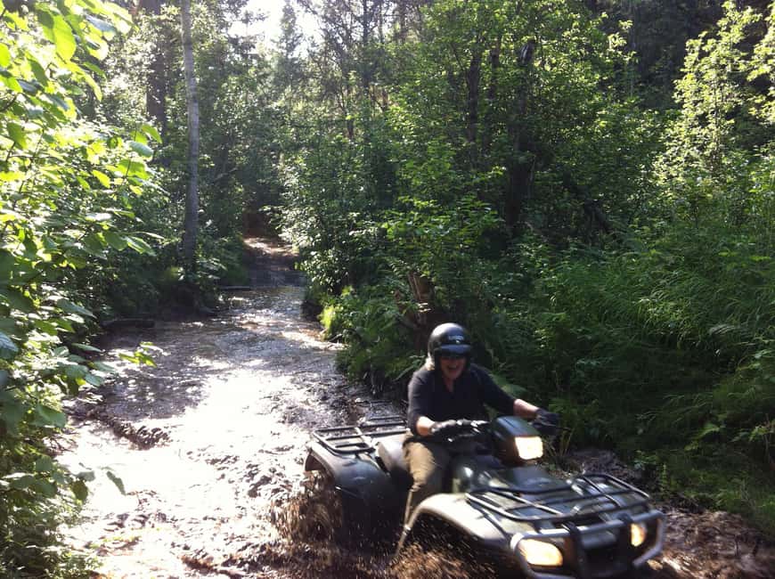 Bird Creek: Chugach State Park ATV Nature Tour & Hike - Turnagain Arm and snow-capped peaks