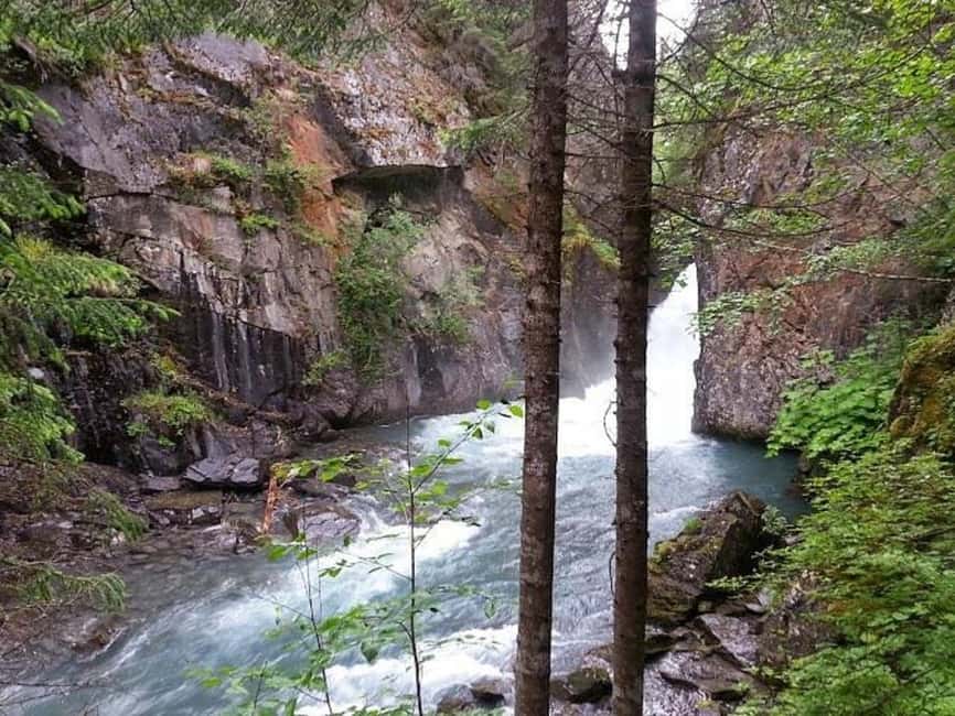 Bird Creek: Chugach State Park ATV Nature Tour & Hike - Practical details before you book