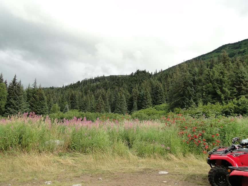 Bird Creek: Chugach State Park ATV Nature Tour & Hike - Safety gear before the ATV ride