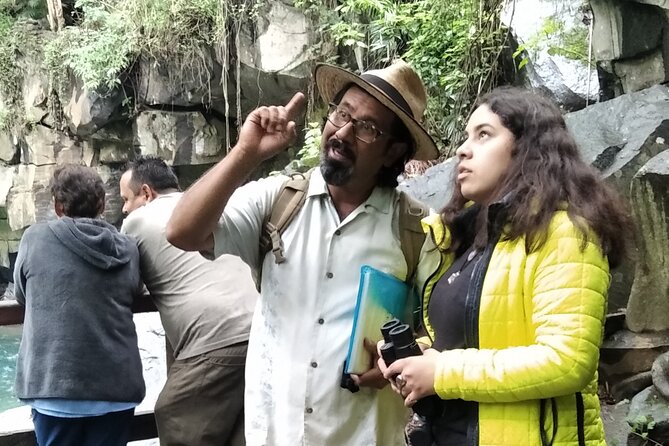 Bird Observation in the National Park of Uruapan. - Key points to know before booking