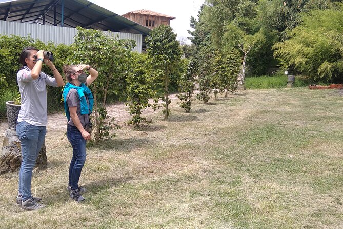 Bird Observation in the National Park of Uruapan. - Starting near San Francisco Parish at 8:00 a.m.