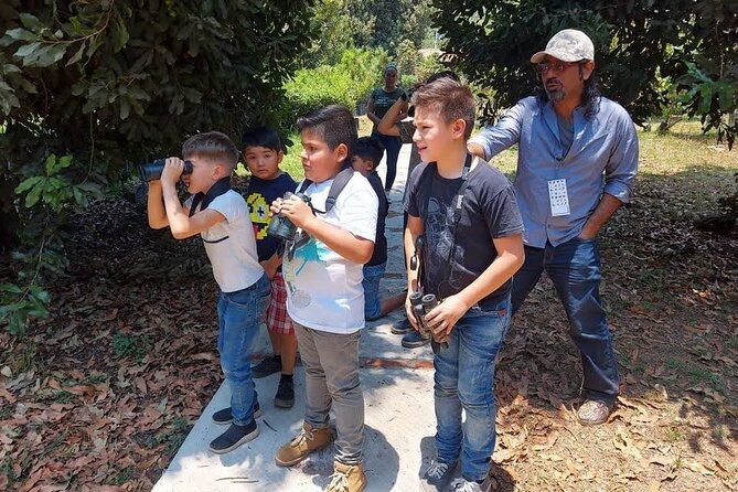 Bird Observation in the National Park of Uruapan. - What the three-hour route gives you