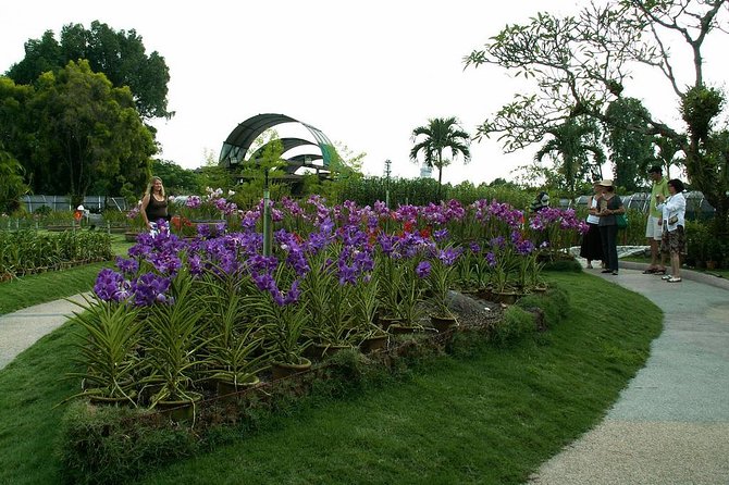 Bird Park & Butterfly Farm Nature Include All Entrance Tour From Kuala Lumpur - Kuala Lumpur Bird Park and its close encounters