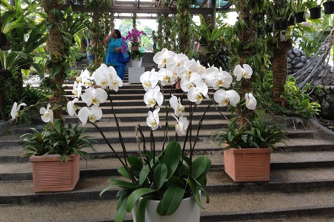 Bird Park & Butterfly Farm Nature Include All Entrance Tour From Kuala Lumpur - Is $74 per person a fair price?