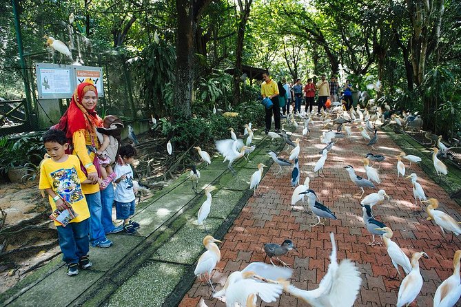Bird Park & Butterfly Farm Nature Include All Entrance Tour From Kuala Lumpur - Who should book this nature tour?