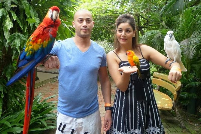 Bird Park & Butterfly Farm Nature Tour From Kuala Lumpur - The private vehicle is convenient, but confirm the details