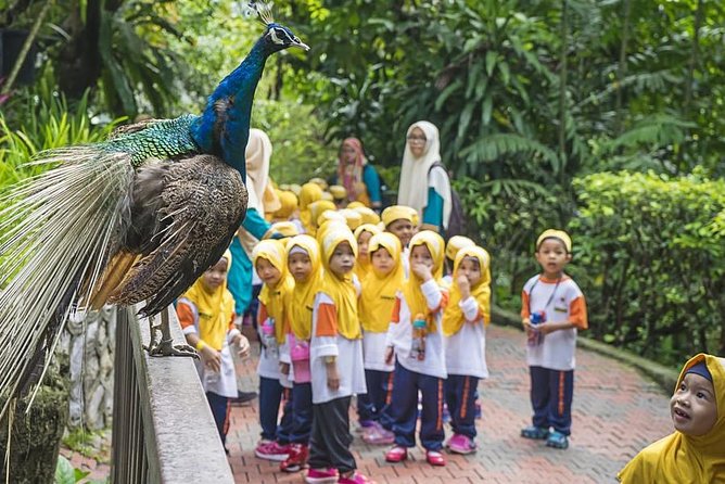 Bird Park & Butterfly Farm Nature Tour From Kuala Lumpur - Kuala Lumpur Bird Park and its free-flight zones