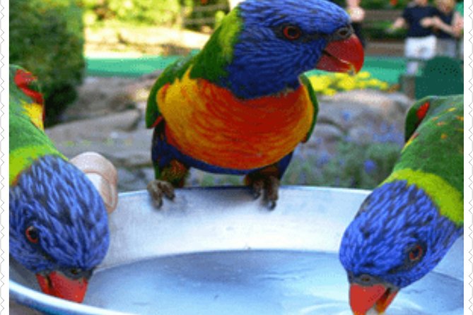 Bird Sanctuary and animal farm Day Tour - Key points at a glance