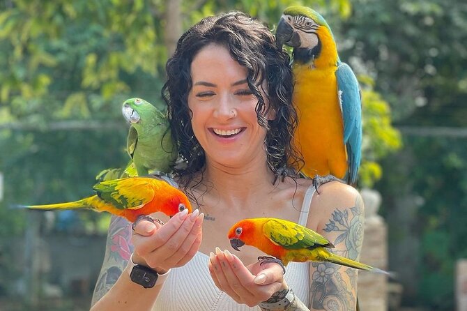 Bird Sanctuary and animal farm Day Tour - Guides can shape the day