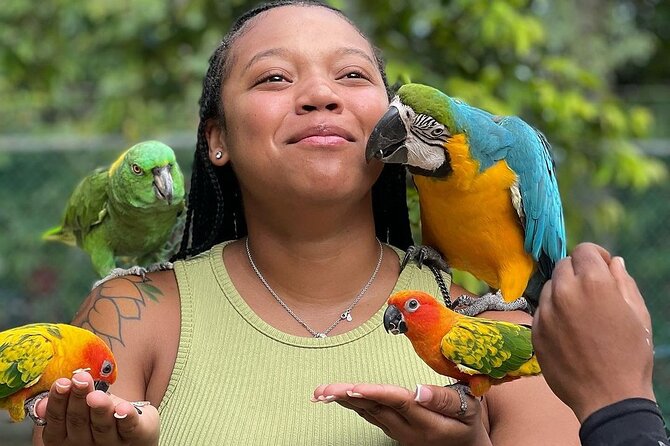 Bird Sanctuary and animal farm Day Tour - A garden stop with more than birds