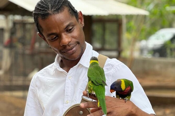 Bird Sanctuary and Montego Bay City Tour - Key points to know before booking
