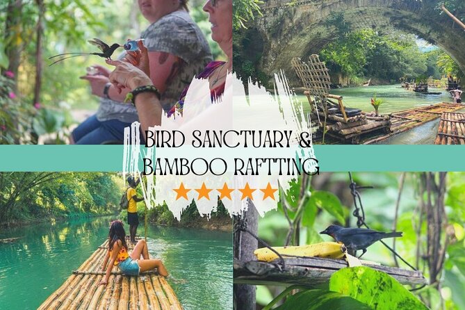 Bird Sanctuary and/or Lethe Bamboo Rafting from Montego Bay - Rocklands Bird Sanctuary, Where the Birds Come to You