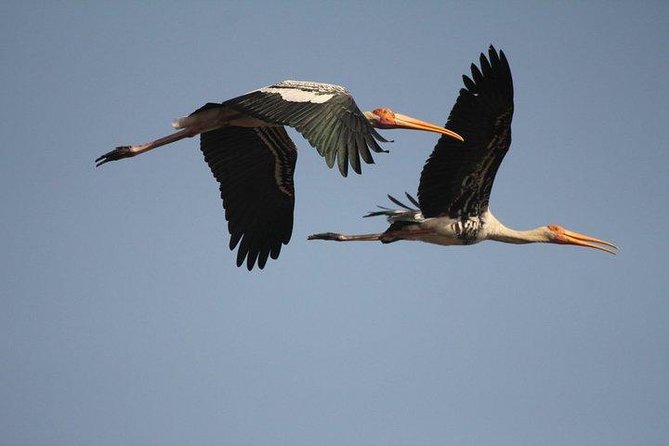 Bird Sanctuary, Bharatpur & Taj Mahal, Agra Day Tour from Delhi - What the $164 price covers