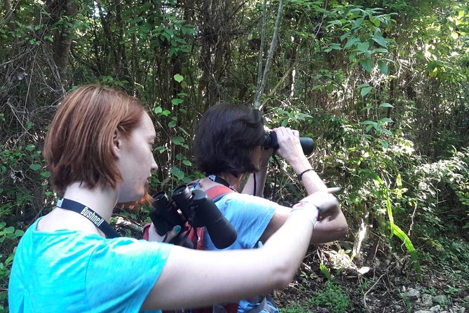 Bird watching ecofriendly tour from Cancun & Riviera Maya - A local meal adds more than a food break