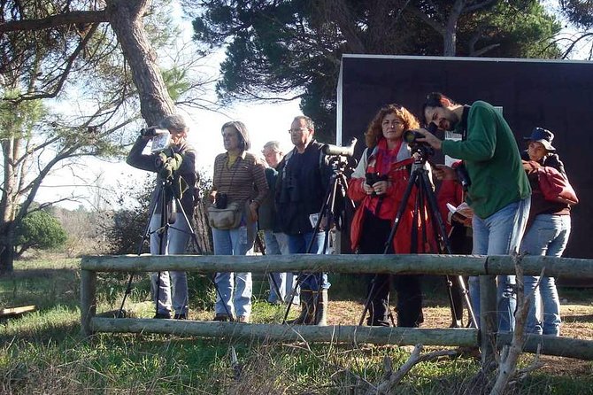 Bird Watching in Albufeira Lagoon - Three hours at the lagoon with a birding specialist