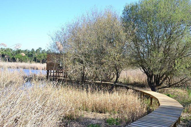 Bird Watching in Albufeira Lagoon - What the guide arrangement means for your day