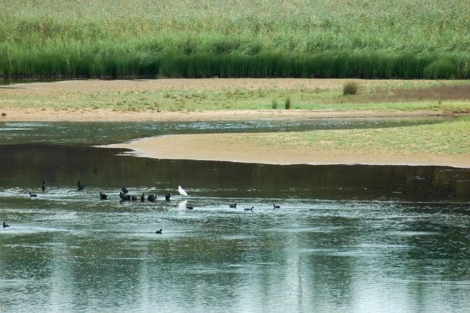 Bird Watching in Albufeira Lagoon - Is $102.96 a fair price?
