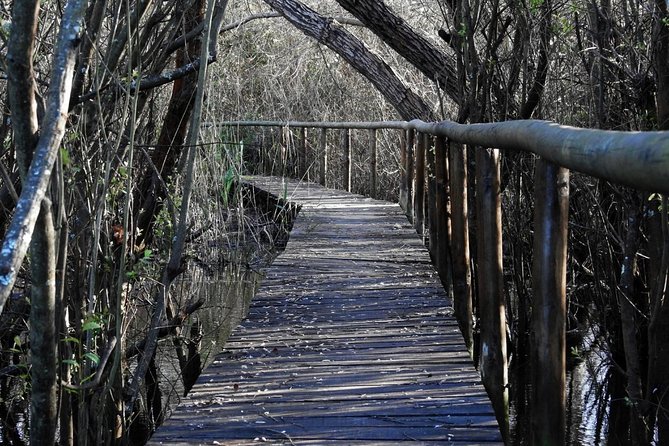 Bird Watching in Albufeira Lagoon - Who will enjoy this morning most?