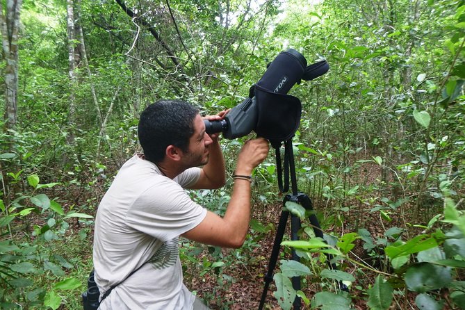 Bird Watching in Sian Ka´an Muyil - Muyil’s archaeological site brings culture into the morning