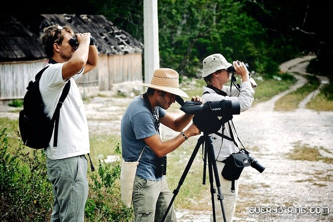 Bird Watching in Sian Ka´an Muyil - Who will enjoy this experience most