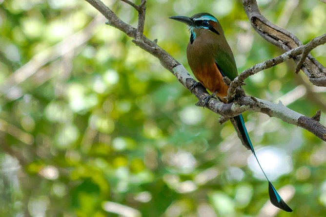 Bird Watching in Sian Ka´an Muyil - Walking through Muyil village before the ruins
