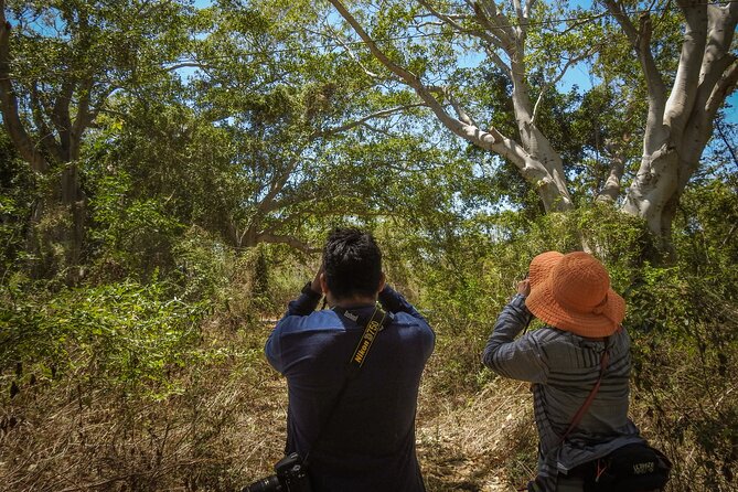 Bird Watching Mazatlán - Birding Tour - Who will enjoy this most