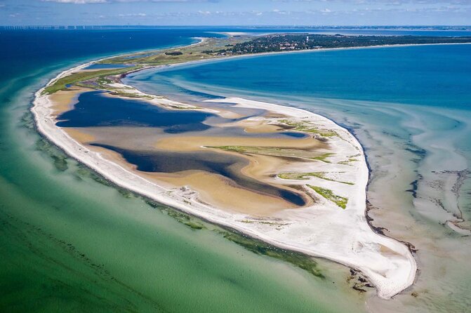 Bird Watching Private Tour in Copenhagen - Choosing the northern or southern route