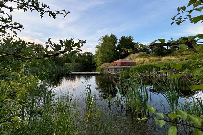 Bird Watching Private Tour in Copenhagen - Coffee, tea, and the missing lunch
