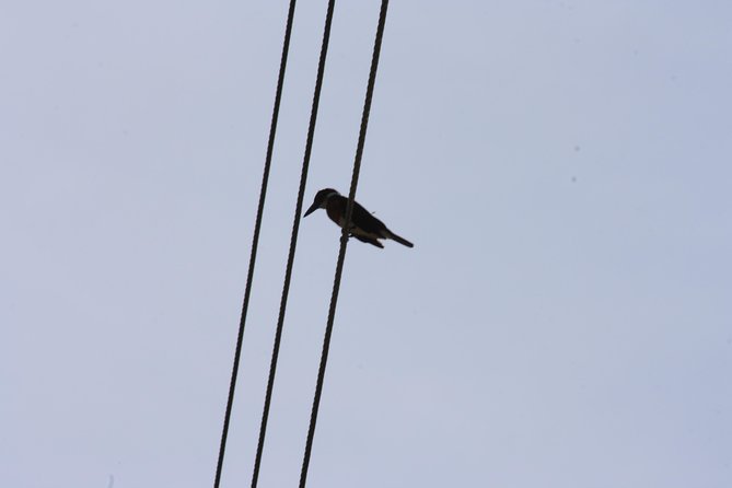 Bird Watching Tour Huatulco HT - Several stops, with Huatulco National Park at the center