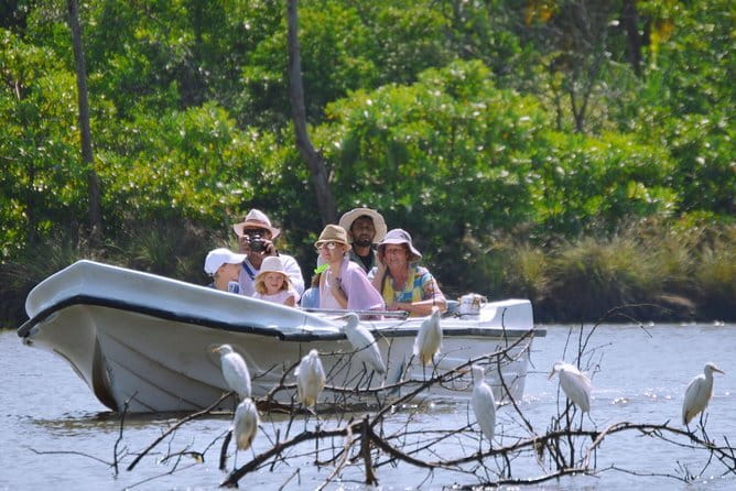 Bird Watching Tour Sri Lanka - 10 Days - Day 5: The Belilena cave area and a long bird list