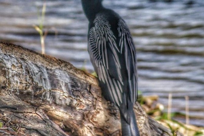 Bird Watching Tours - Why a Group of Six Makes a Difference