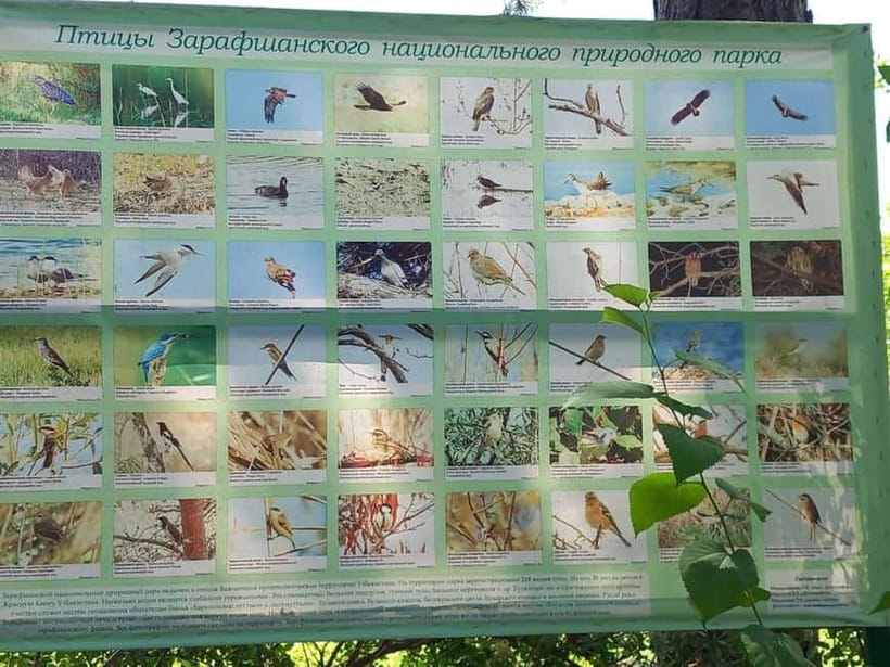 Bird Watching Tours in Samarkand - Key points to know before you book