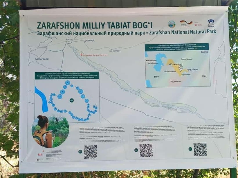 Bird Watching Tours in Samarkand - The Oqdarya and Ishtixan area after lunch