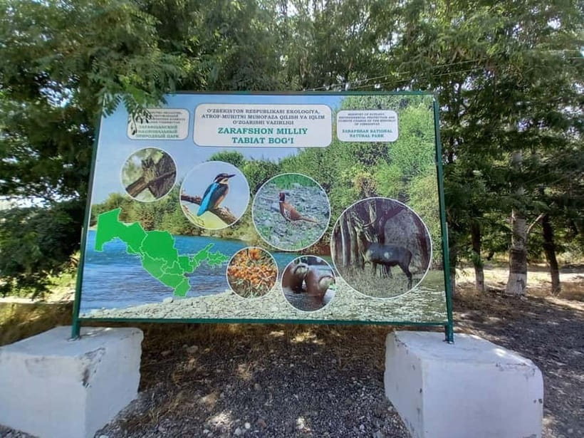 Bird Watching Tours in Samarkand - First stop, Zeravshan’s tugai woodland