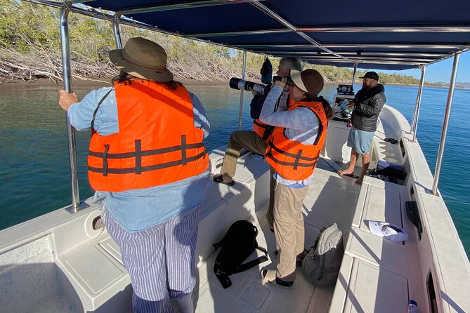 Birding By Sea and Land 4hr. La Paz Mexico - Key points at a glance
