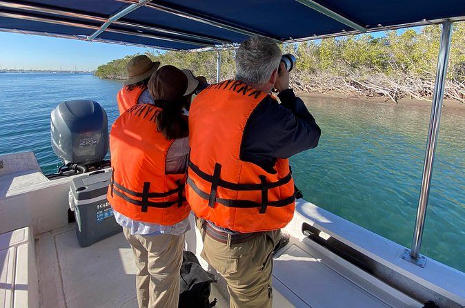 Birding By Sea and Land 4hr. La Paz Mexico - Timing, comfort, and what to bring