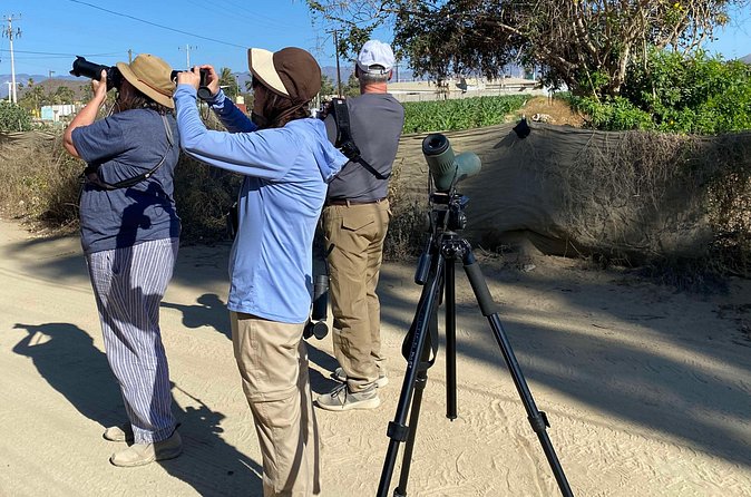 Birding By Sea and Land 4hr. La Paz Mexico - A few practical booking details