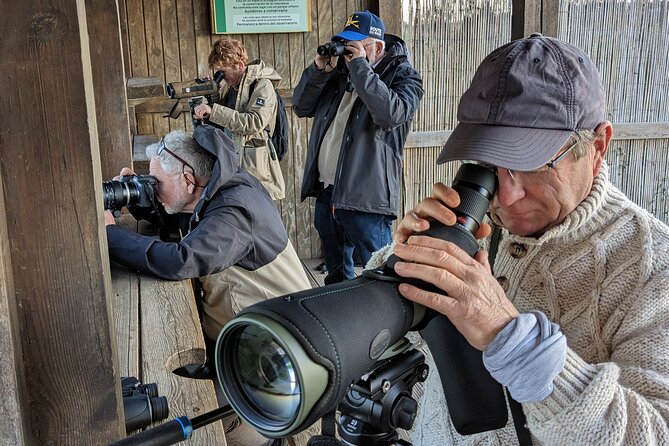 Birding Costa del Sol Day tour - A full day of bird habitats near Malaga