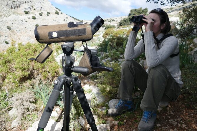 Birding Costa del Sol Day tour - Two and a half hours at the Guadalhorce Estuary