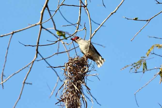 Birding for beginners - Why Rancho Verde works for first-time birders