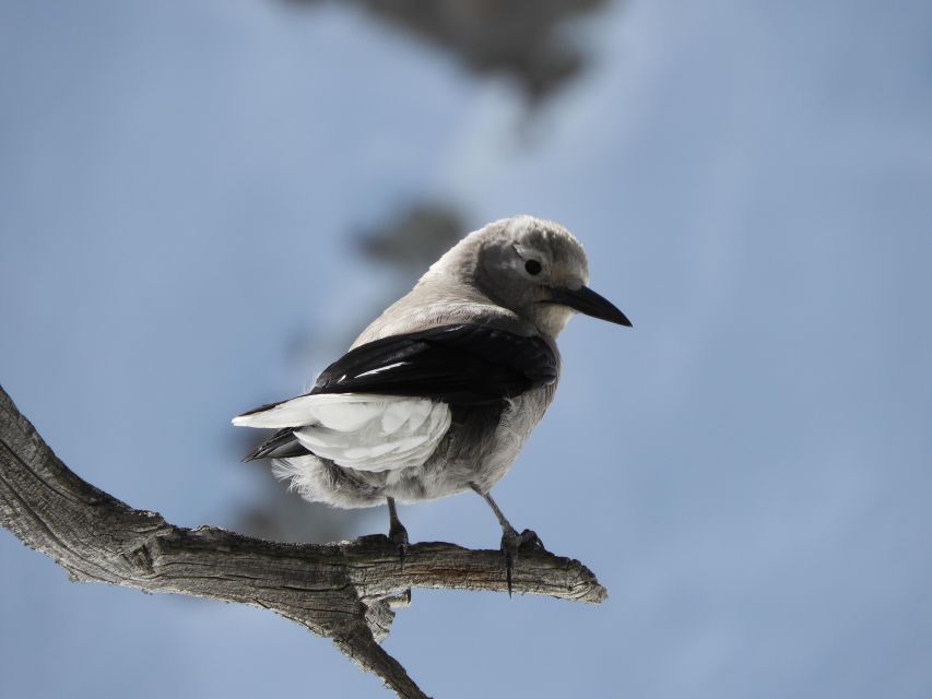 Birding Hike and Hot Spring Soak from Denver - Key points at a glance
