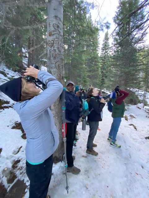 Birding Hike and Hot Spring Soak from Denver - Spikes, snowshoes, and the effort level