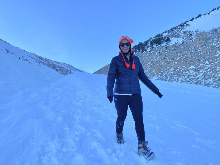 Birding Hike and Hot Spring Soak from Denver - Spruce-fir forest birding at high elevation