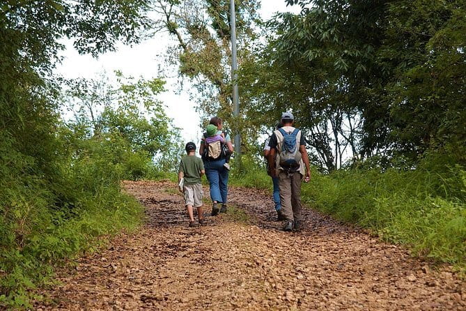 Birding Hike: Day Birdwatching in Kathmandu - Key points to know before you book