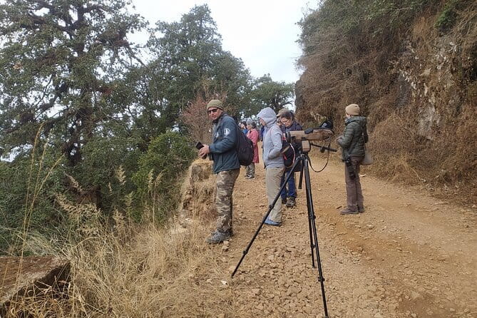 Birding Hike: Day Birdwatching in Kathmandu - Why Kathmandu is a useful base for birdwatching
