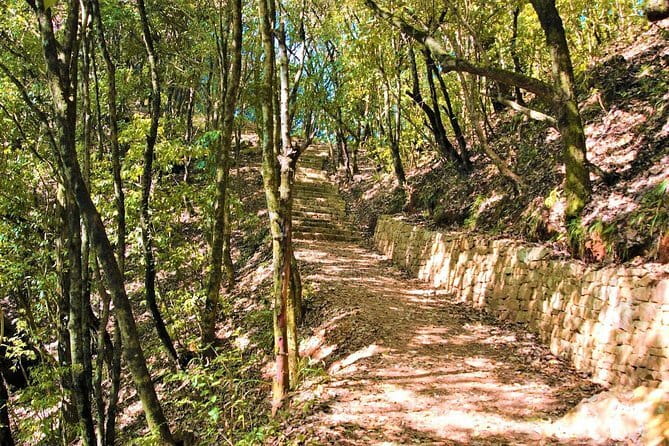Birding Hike: Day Birdwatching in Kathmandu - Phulchoki and Godavari: the strongest choice for serious birders