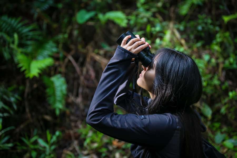 Birding Medellin with expert bird-watcher (Private) - From La Estrella Metro to the forest